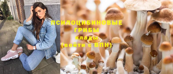 эйфоретик Алексеевка
