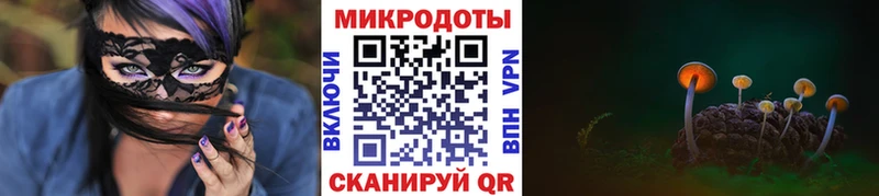 Галлюциногенные грибы мицелий  блэк спрут сайт  Гвардейск 